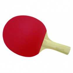 Palas y juegos de ping pong, ping pong., raqueta de tenis de mesa, equipo  deportivo, Deportes png
