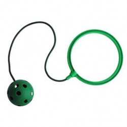 PELOTA CON ASA