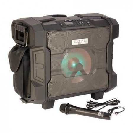ALTAVOZ IBIZA WPORT 10" 300W