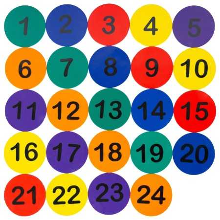 SET 24 DISCOS ENTRENAMIENTO NUMERADOS
