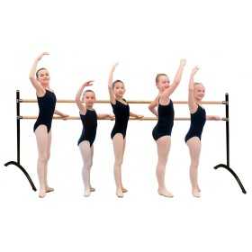 BARRA BALLET DOBLE PORTAIL GRUPAL