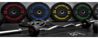 EQUIPAMIENTO PARA FITNESS